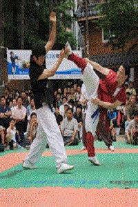 Taekwondo